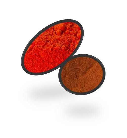 Paprika edelsüß (Capsicum annum)